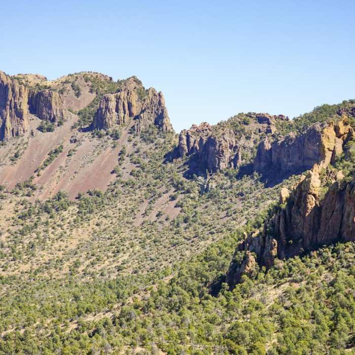 Near Emory Peak via Pinnacles Trail
