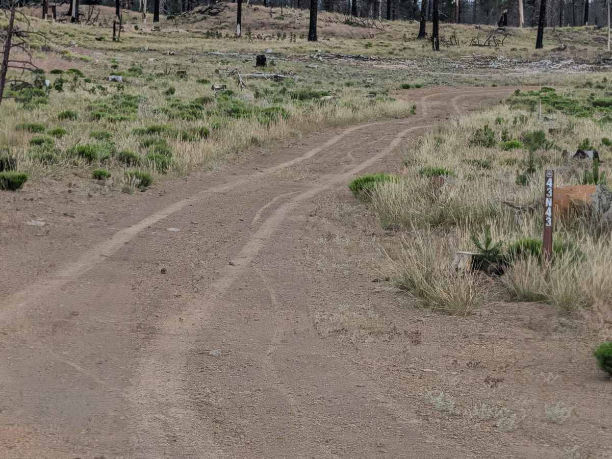 Chipmonk - FS 43N43 trail photo