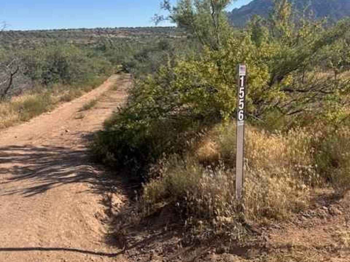 FS 1556 trail photo
