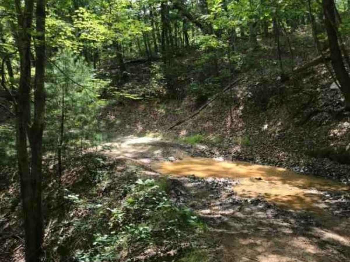 Enchanted Creek photo 5