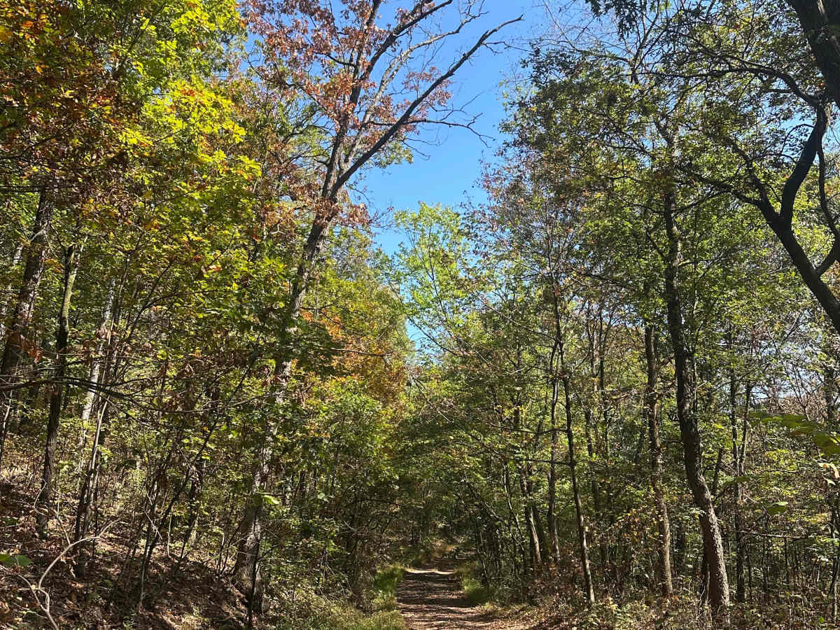 Oldtown Connector  photo 5