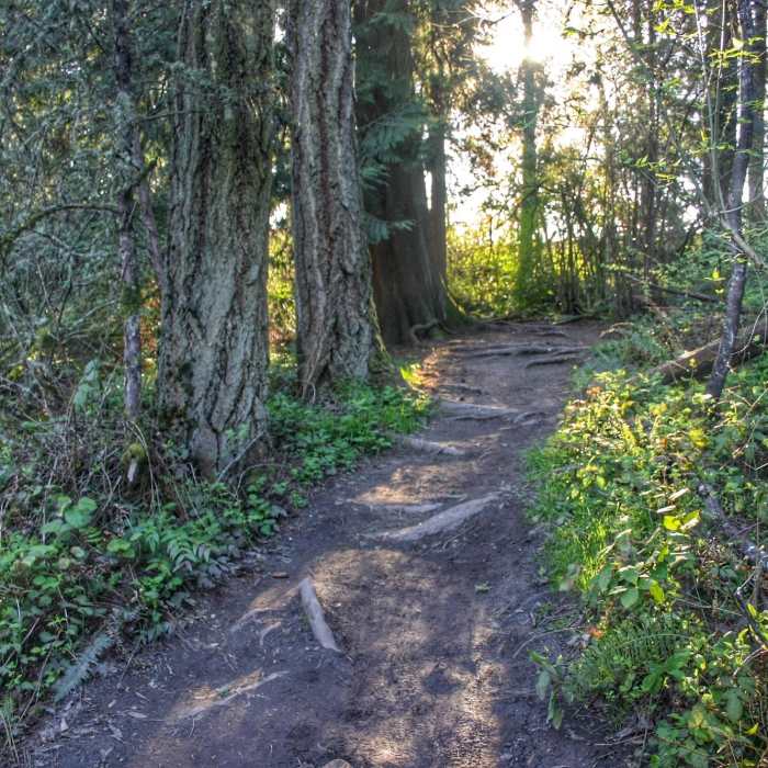 Near Trillium Loop