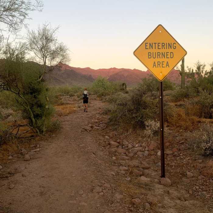 Near Jacob's Crosscut Trail #58