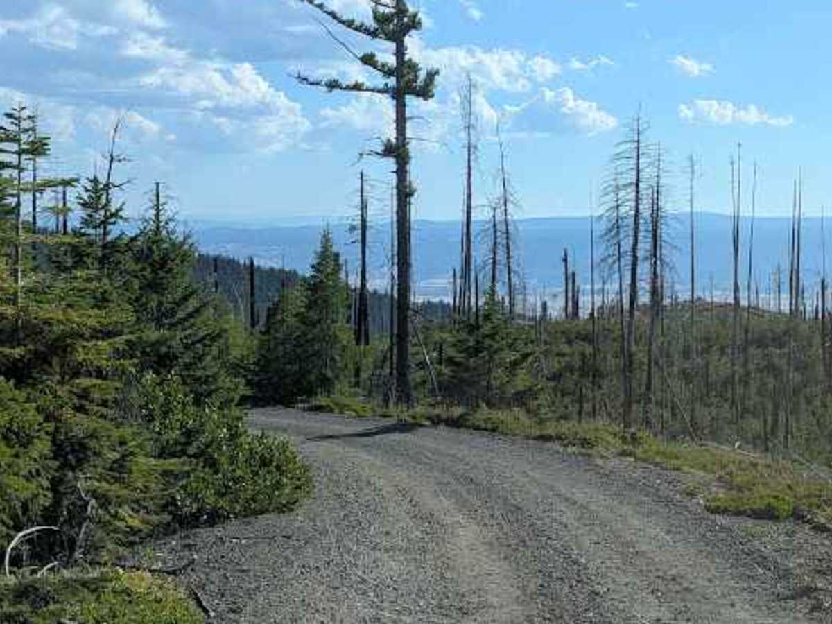 FS 3507-113 trail photo