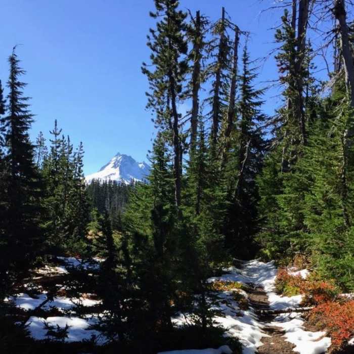 Near Santiam Pass to Olallie Lake Near Santiam Pass to Olallie Lake