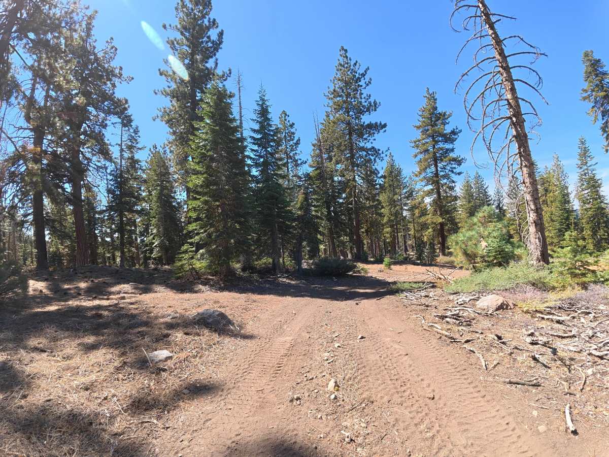 FS 6N94Y trail photo