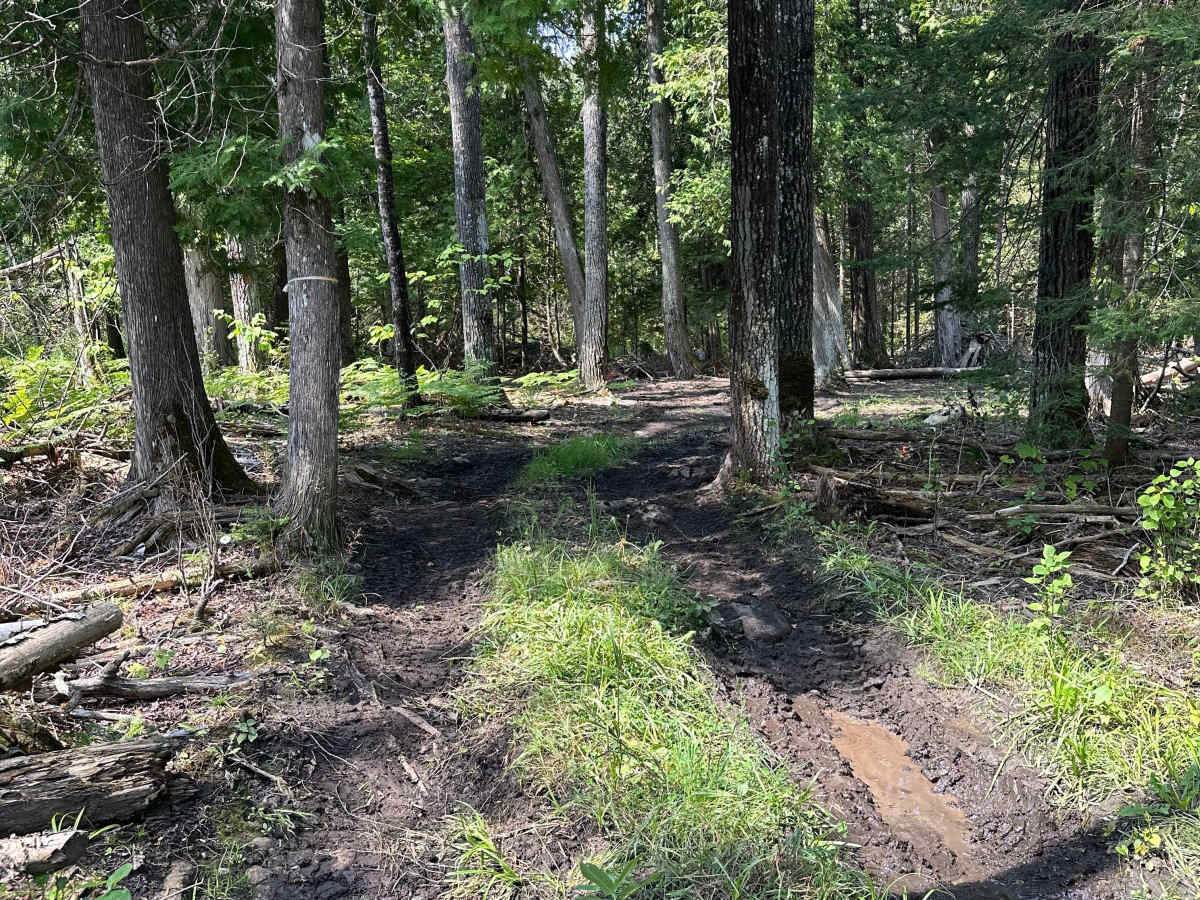 Short Mud trail photo