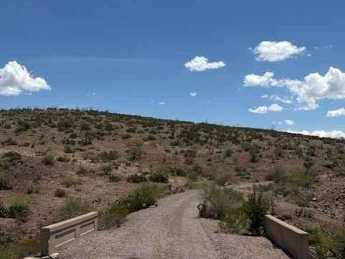 BLM PE1139 photo 2