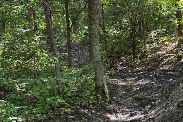 Inner Track 21