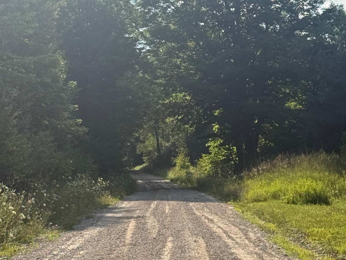 10-1/2 Trail photo 3