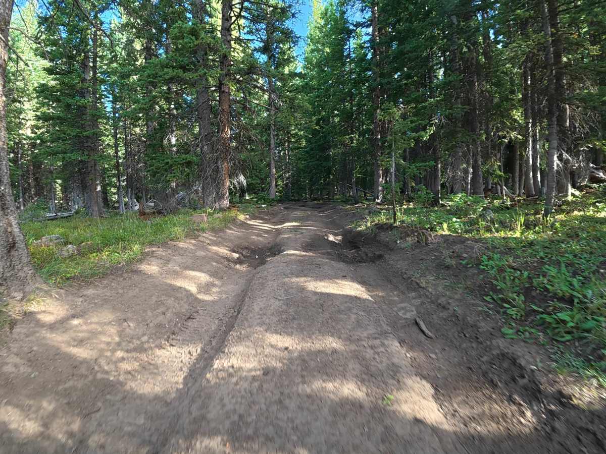 Burrow Mountain Road - FS 246 photo 3