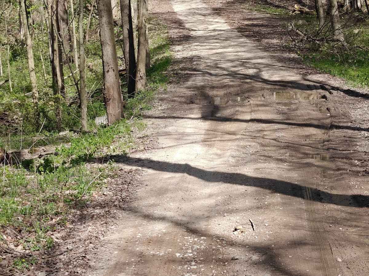 Middleville State Game Area photo 3