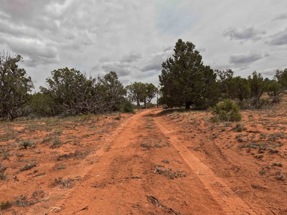 BLM 60J photo 4