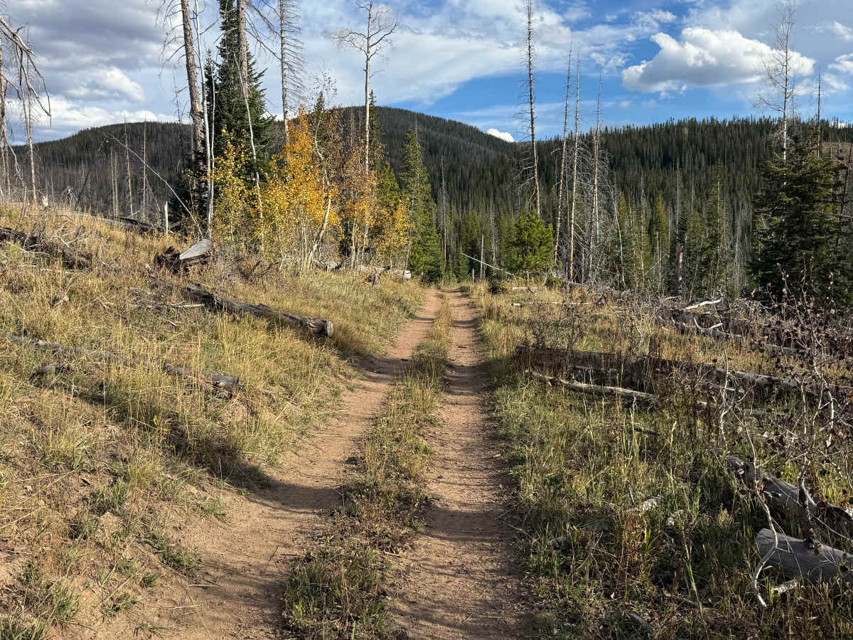 Manzanares Connector Trail photo 3