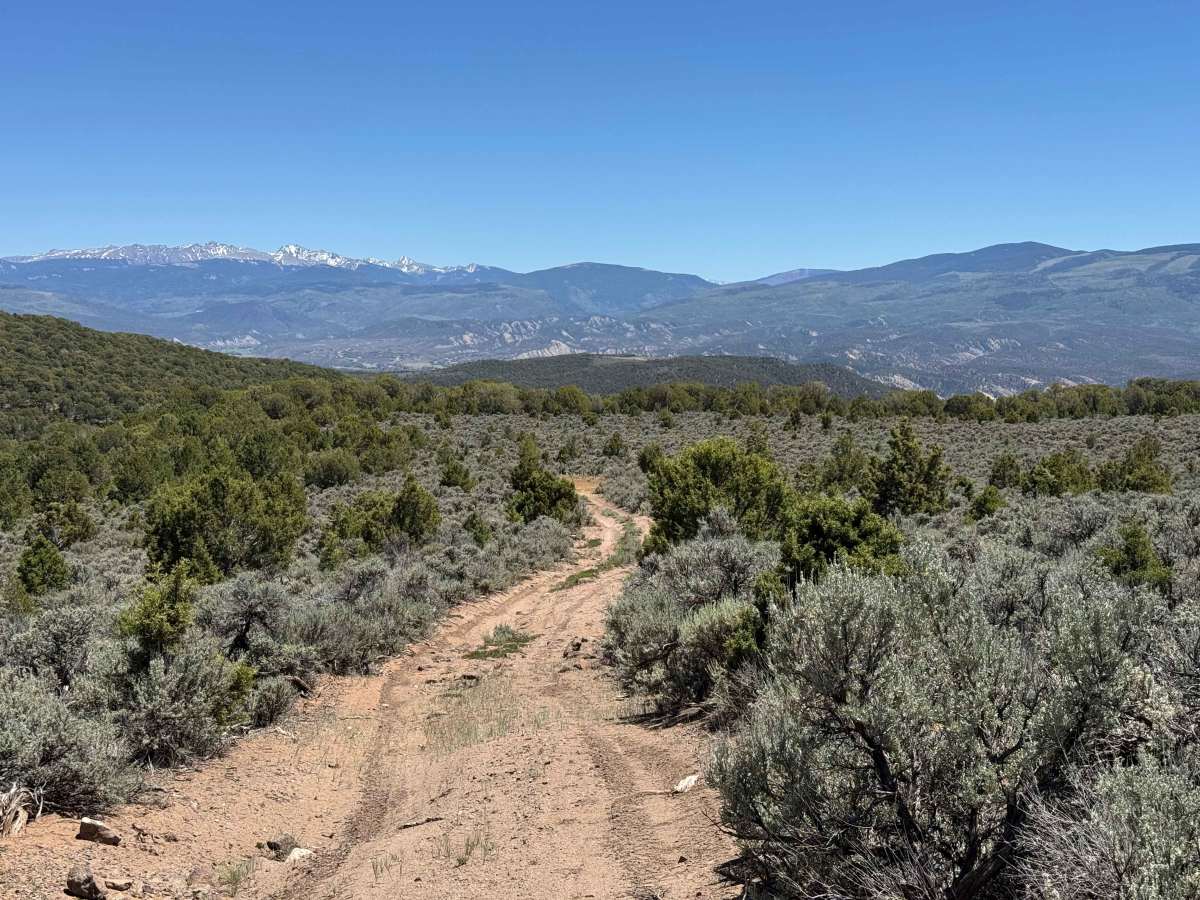 BLM 8486 trail photo
