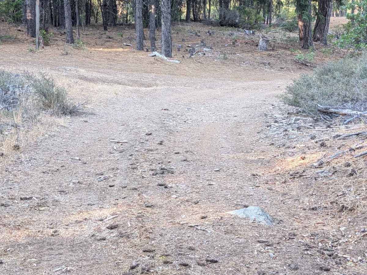 Bear Wallow Meadow Road - FS 1N14 photo 5