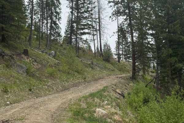 Fritz Creek Ext - FS 2000-420