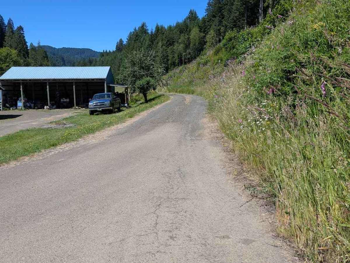 Grass Creek Rd - FS 3430 photo 2