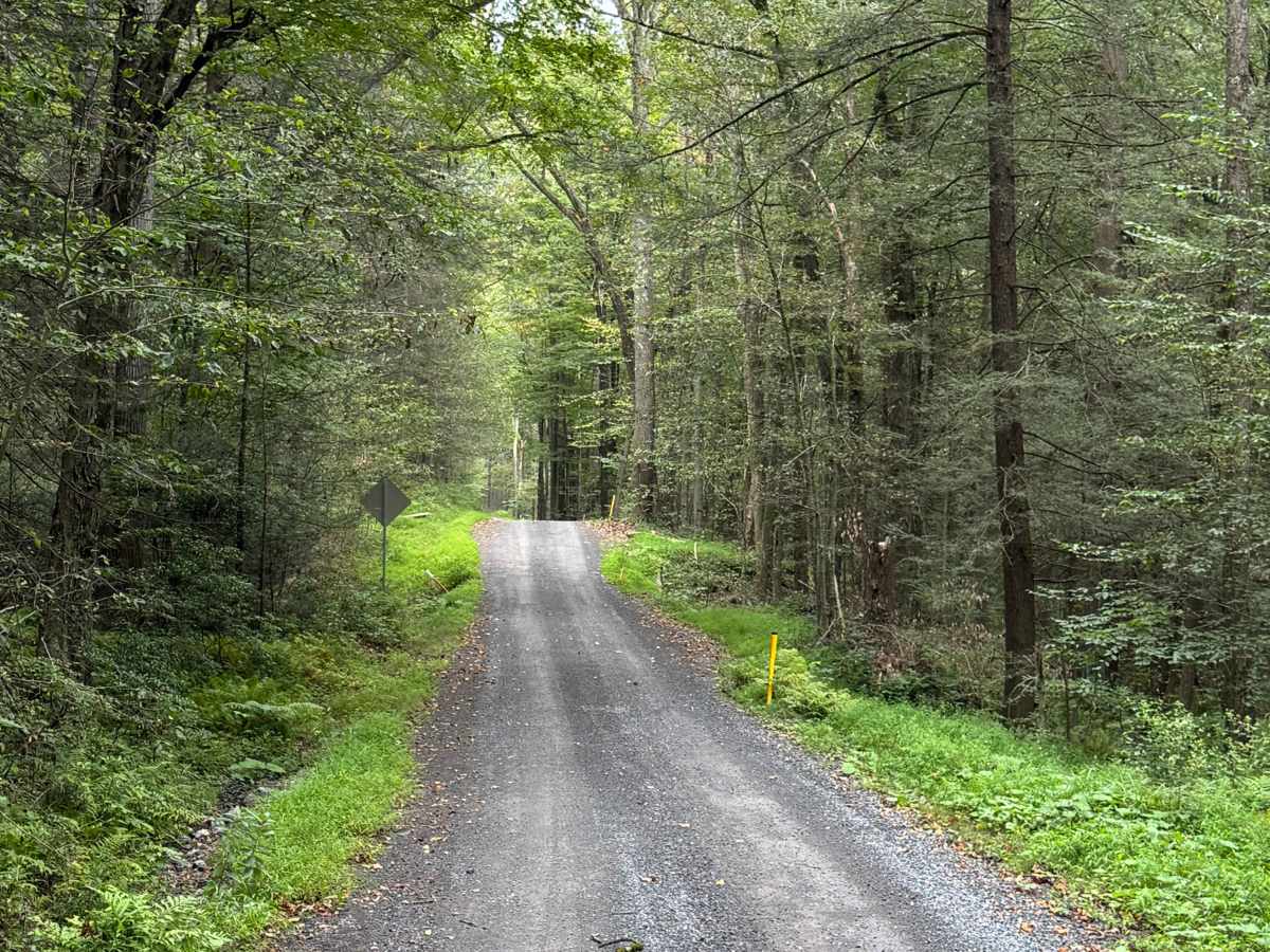 Long Run Road photo 2