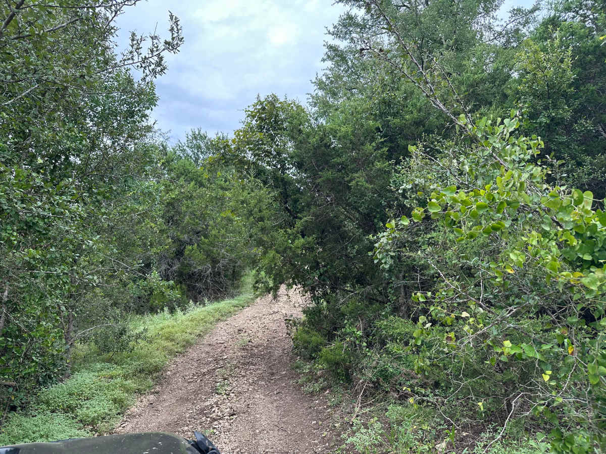 Chisholm Trail photo 2