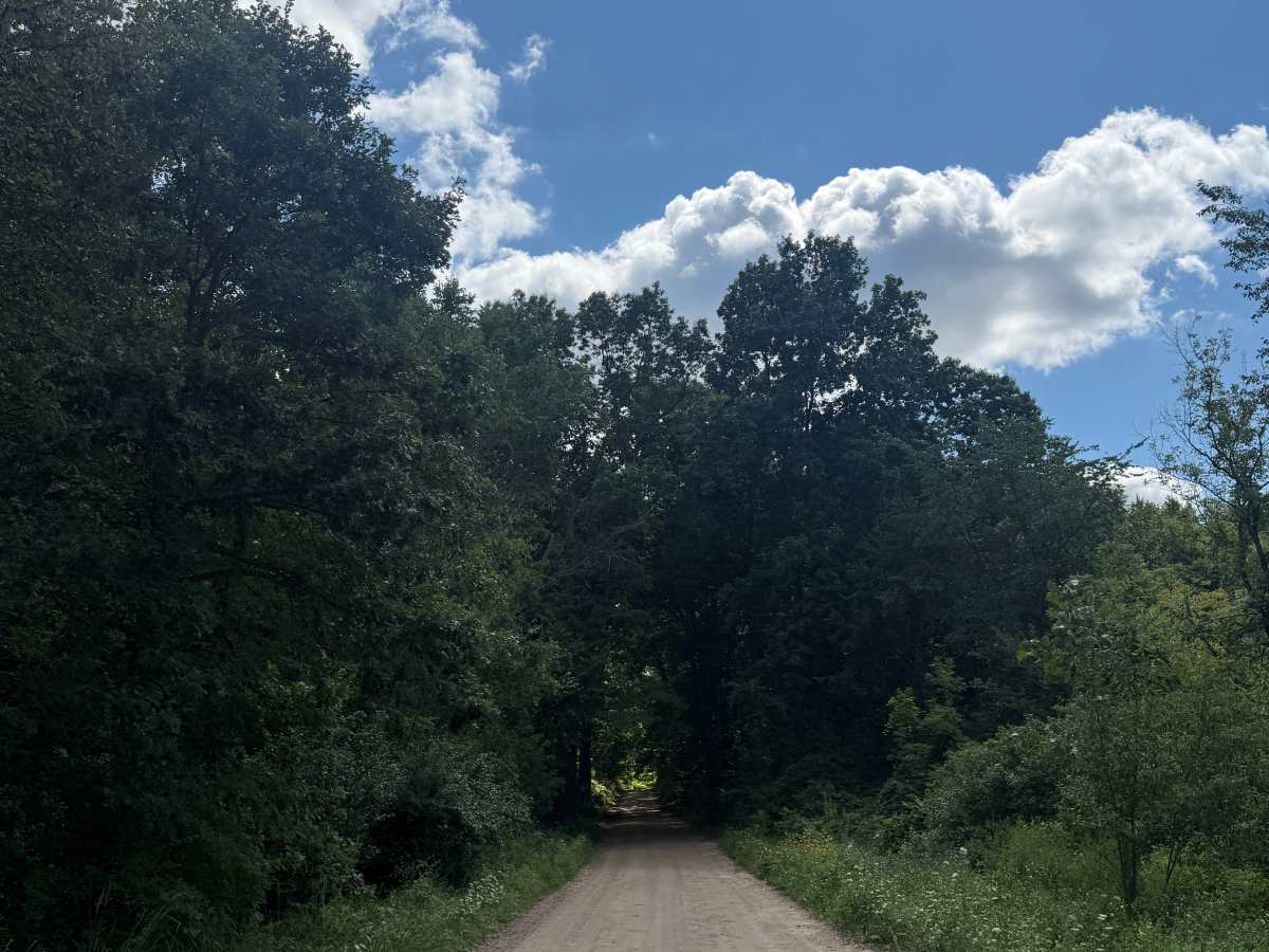 Katz Trail photo 6