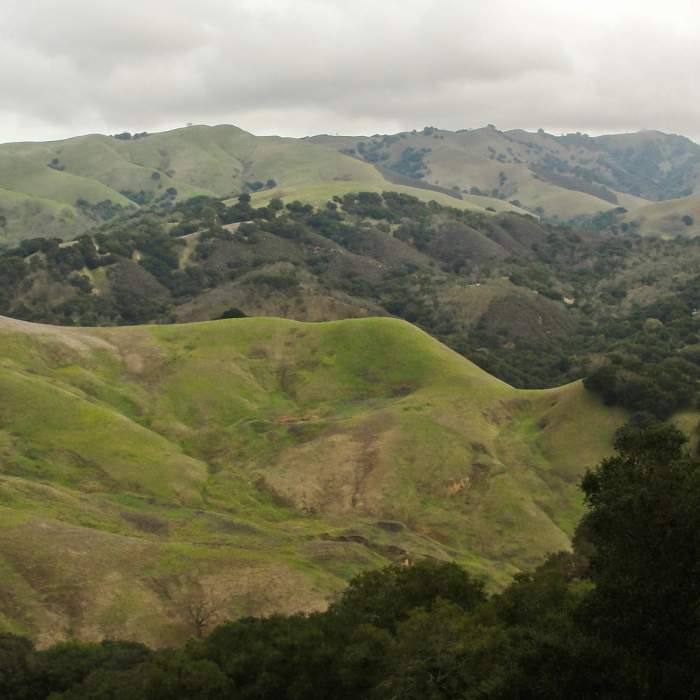 Near Oyster Point Trail