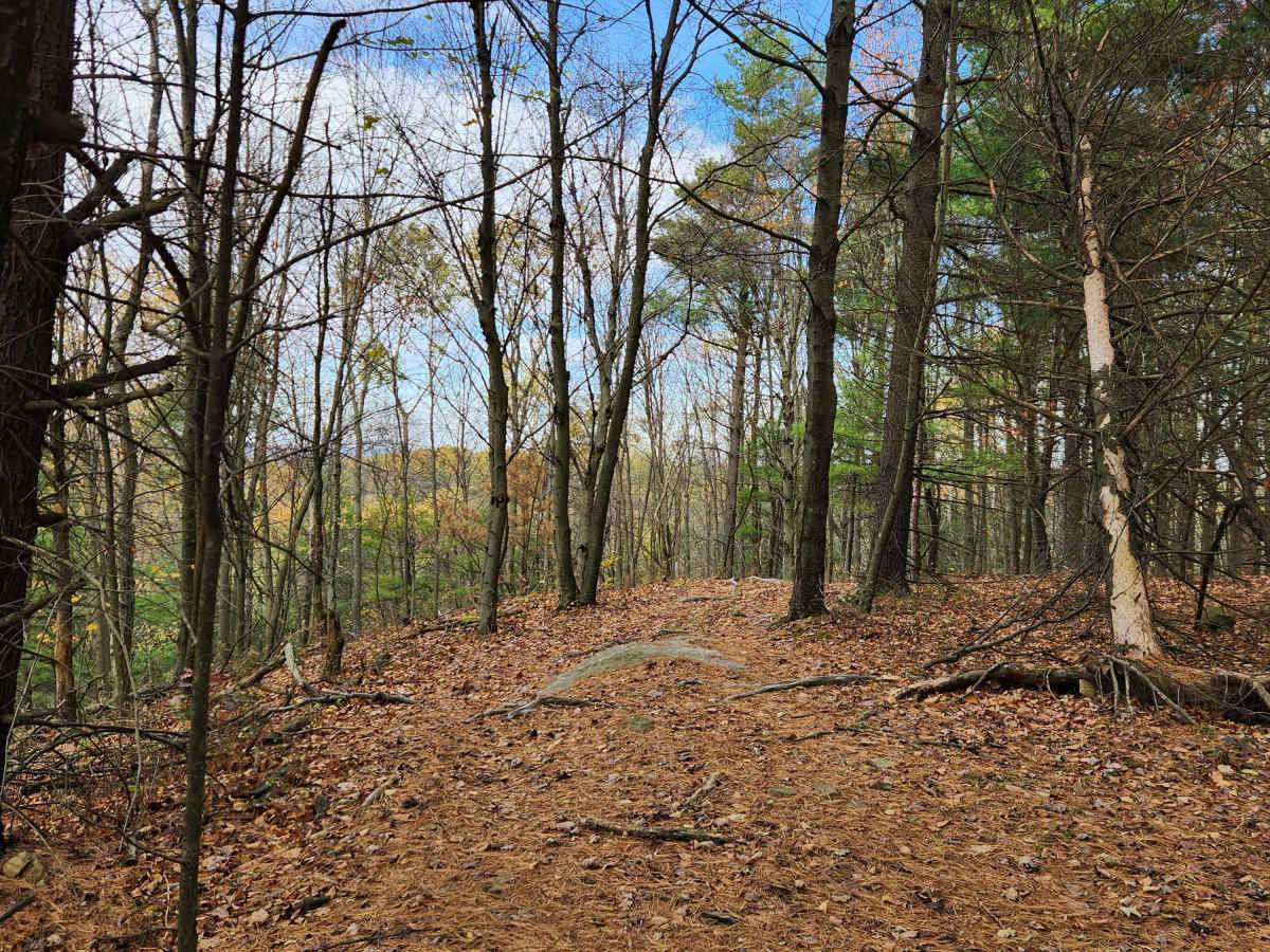 OHV 5 - Rock Run Recreation Area photo 3