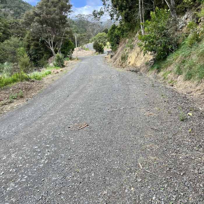 Near Waiomu Kauri Grove