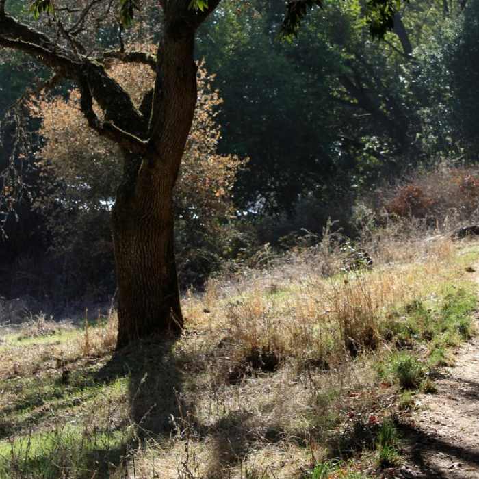 Near Deer Island Open Space Preserve