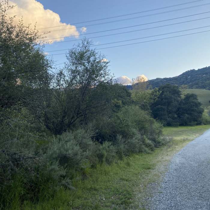 Near Coyote Ridge Trail