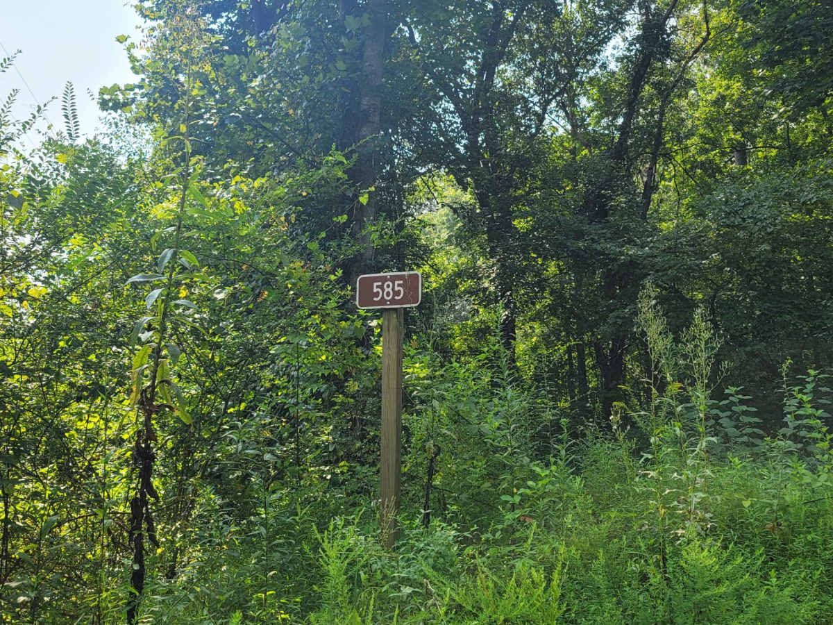 USFSR 585 photo 4