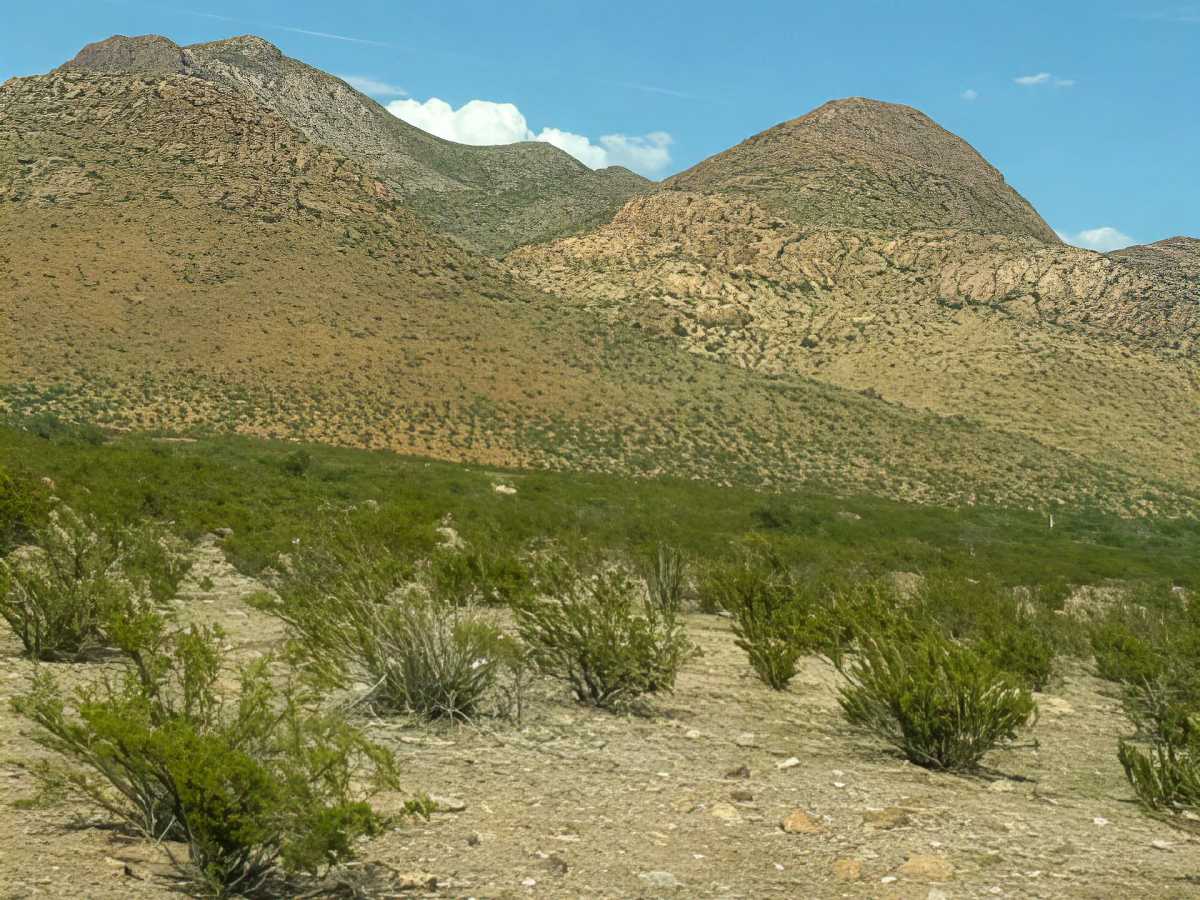 SS1160 photo 2