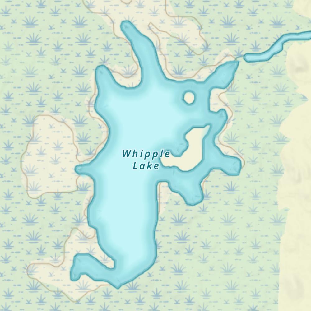 Whipple Lake photo