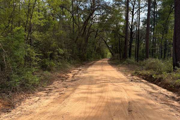 Eadie Cotton Road