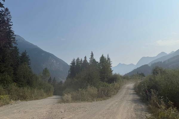 Cranberry Forest Service Road