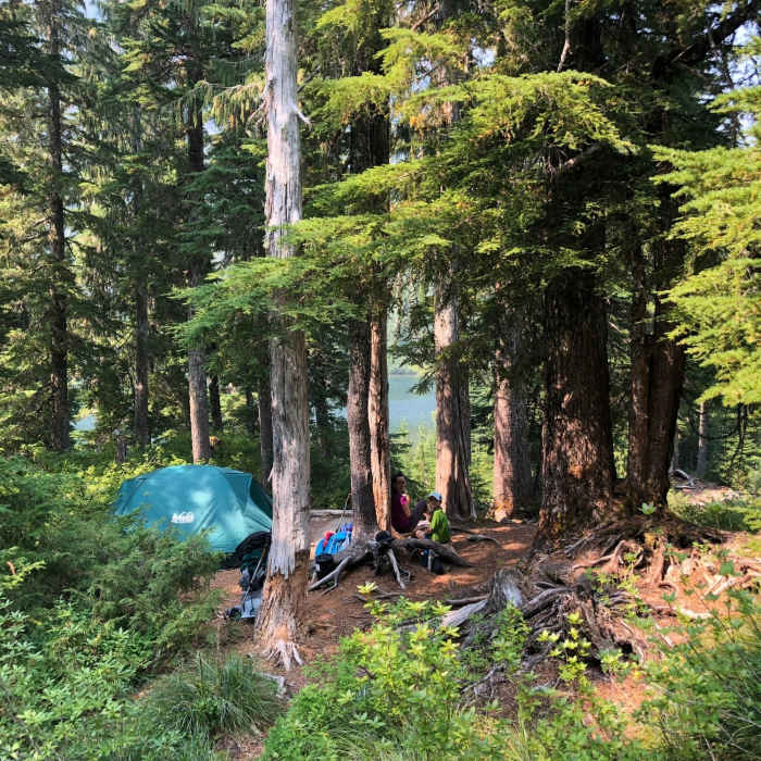 Near Little Divide Trail