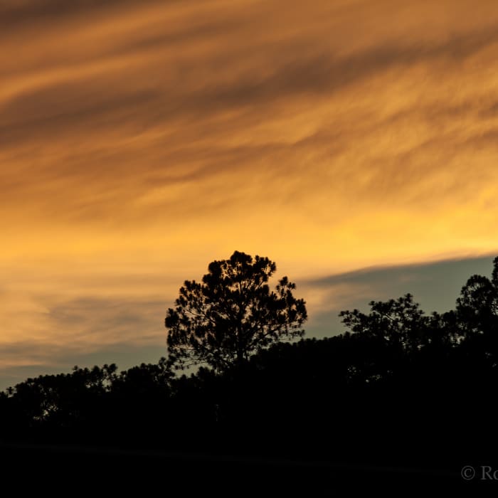 Ortega Stream. Near Ortega Stream Valley Trail