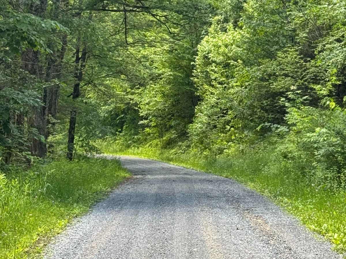 Long Toe Road photo 4
