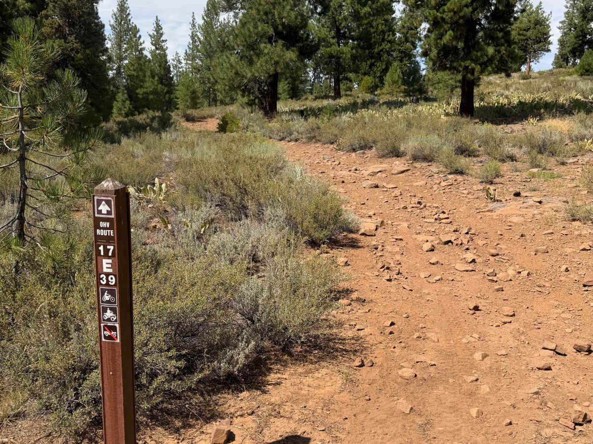 #20 trail photo
