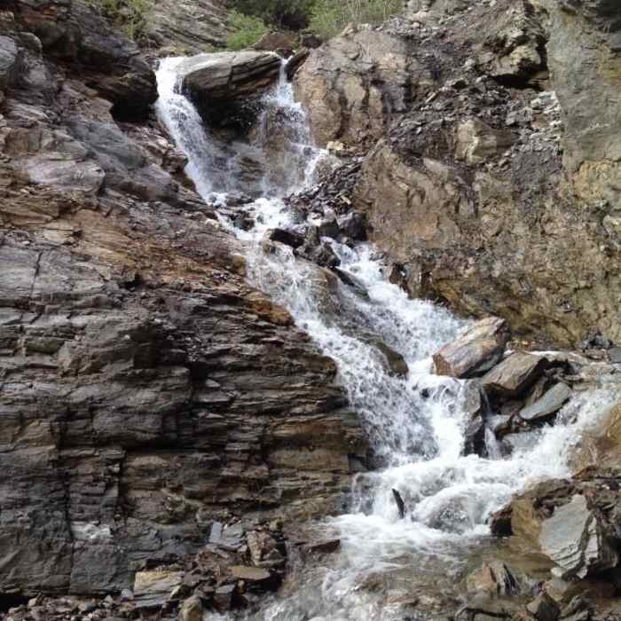 Near Fox Creek Near Fox Creek