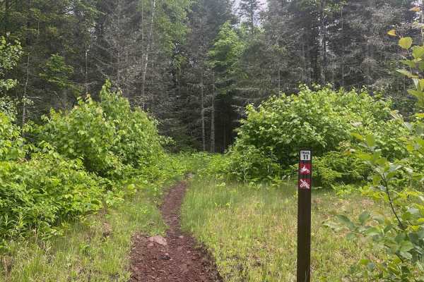 Alger Grade - Trail 11