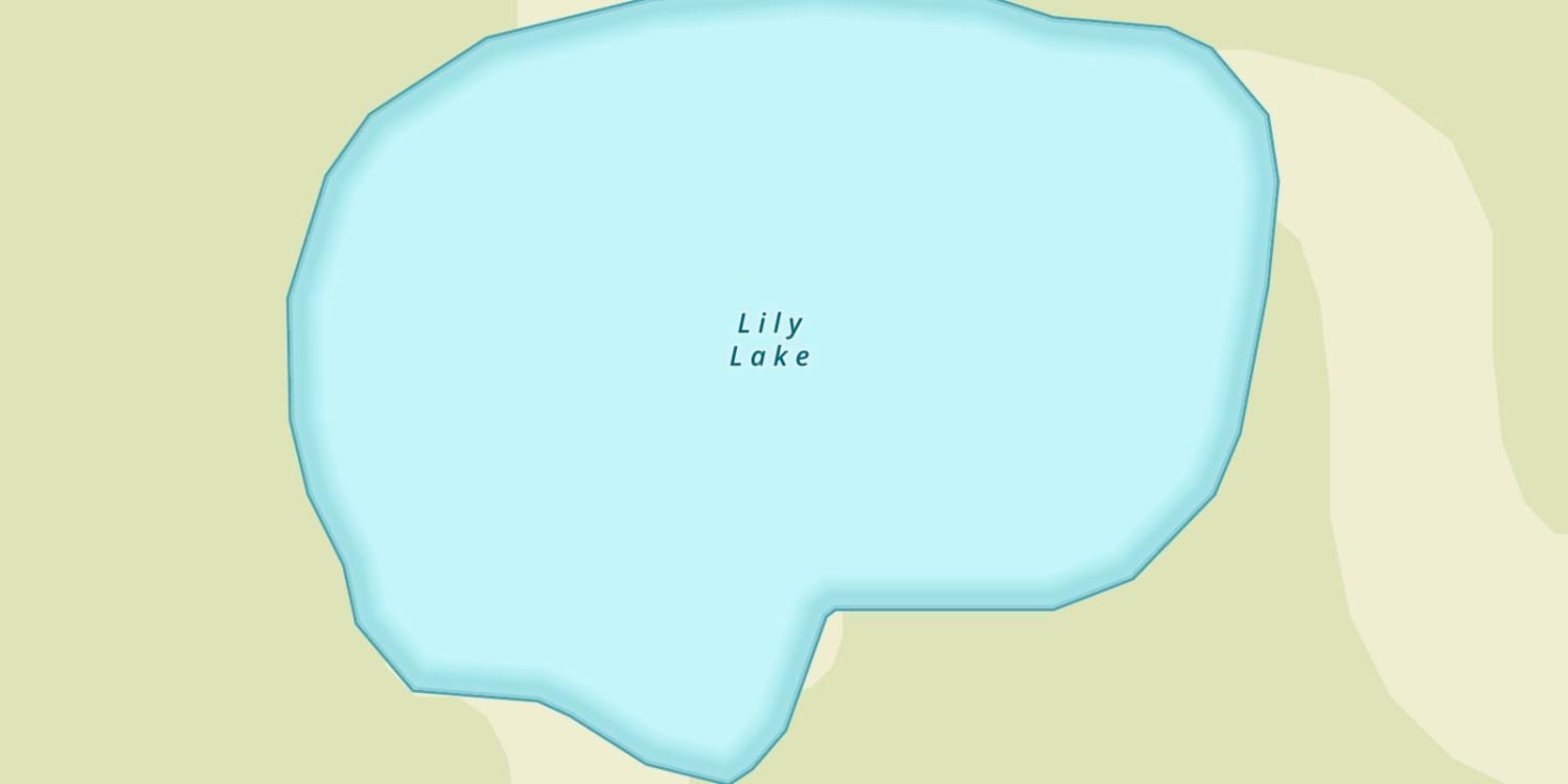 Lily Lake