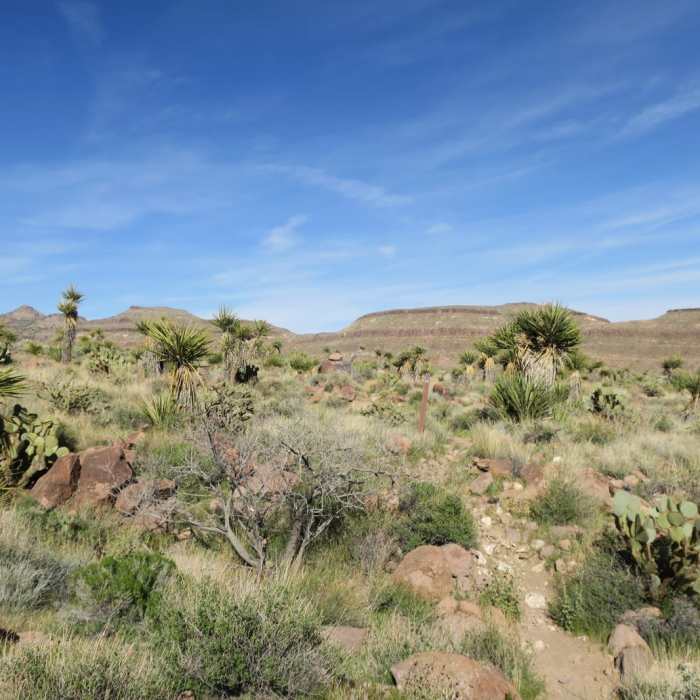 Near Barber Peak Loop