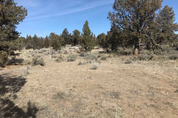 Millican Plateau Trail 84