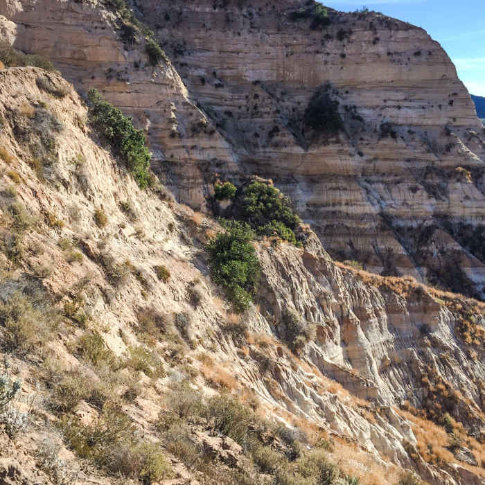 Near Limestone Canyon Lollipop