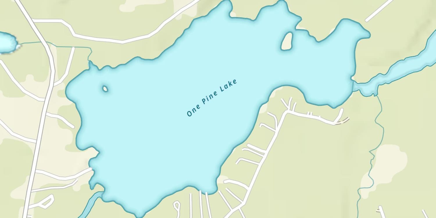 One Pine Lake