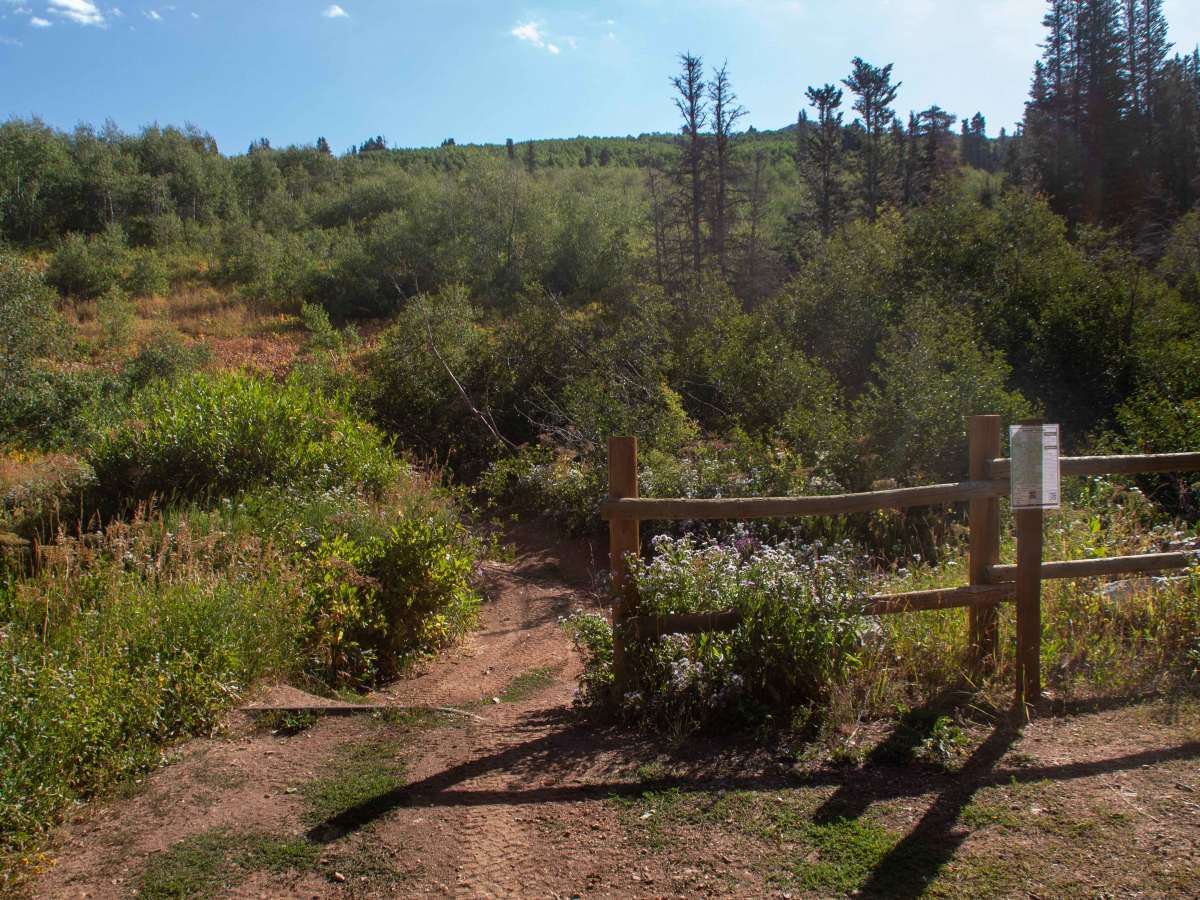 Chicken Creek photo 5
