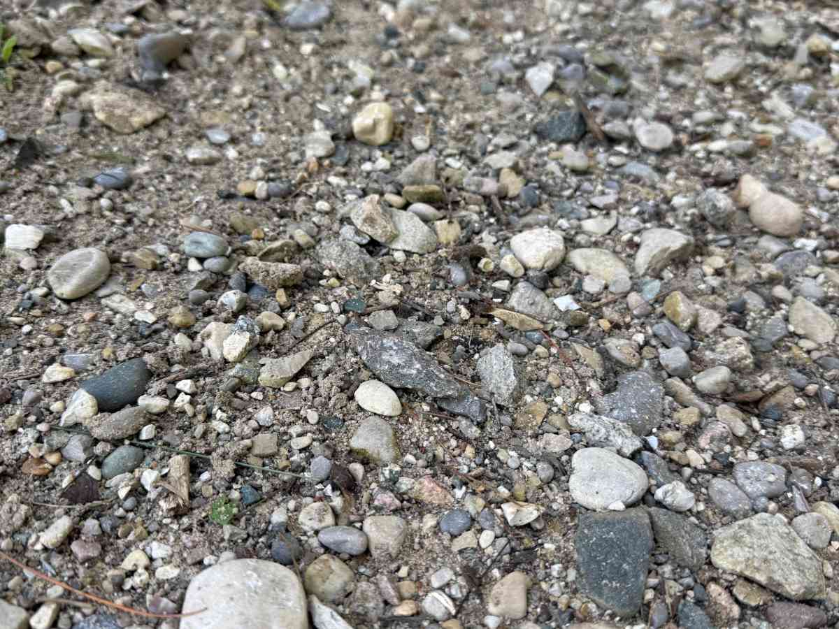 FS 5903 photo 2