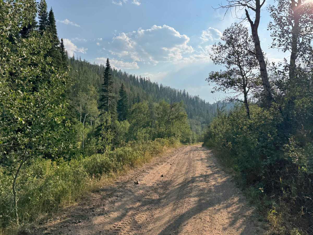 FS 440 trail photo