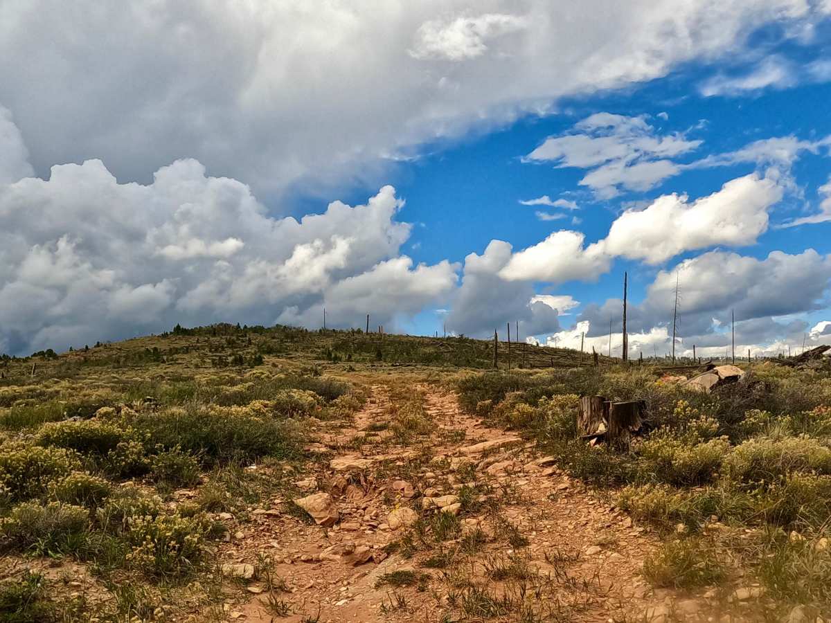 FS 633E trail photo